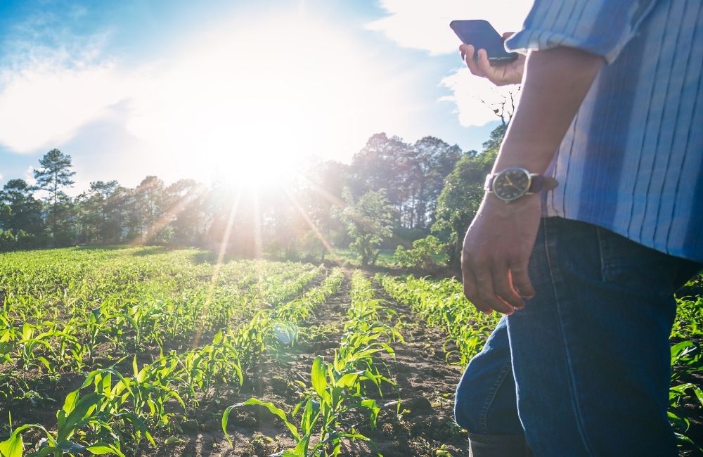 Cell Signal on Farms across South Africa