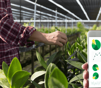 How to Extend Wifi to Greenhouse: Easy Tips for Strong Signal
