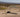 Lost in the Karoo with no cell signal