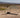 Lost in the Karoo with no cell signal