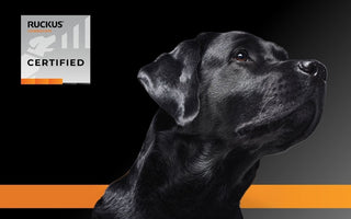 Ruckus Networks: Reliable Connectivity, Powered by Bolton Technical