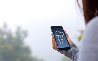 Cell Signal: Affected by Weather?