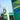 BP_Petroleum_Signal_Success_Story_Image_Website