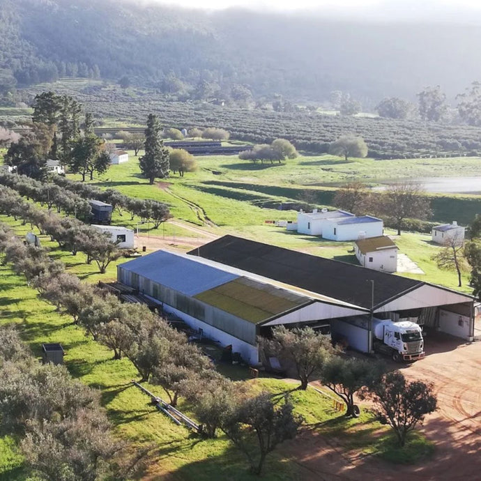 Dundarach poultry Farm